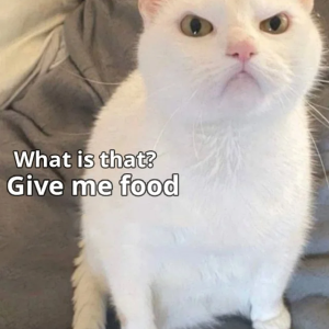 Give me food!
