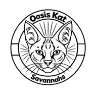 oasiskat