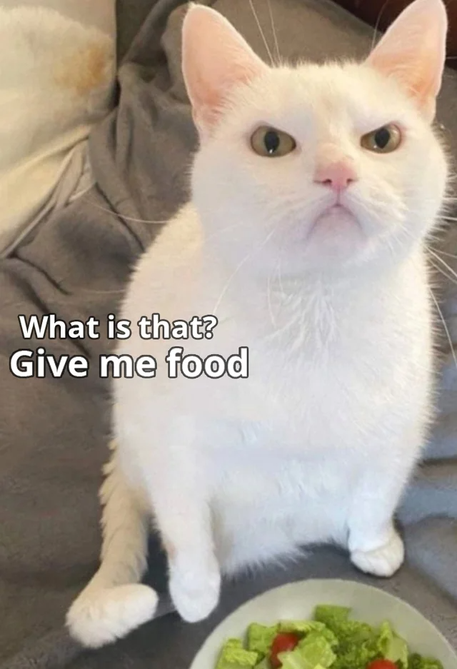 Give me food!